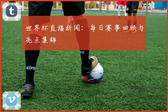 世界杯直播新闻：每日赛事回顾与亮点集锦
